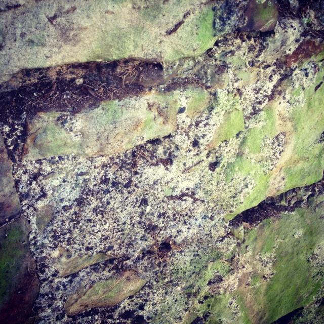 BTQDv-DIgAA1HJc.jpg large